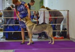 Název souboru=69587439_10217103490712141_6896088091337949184_o.jpg
Velikost souboru=417KB
Rozměry=1280x883
Datum přidání=07. Září 2019 69587439_10217103490712141_6896088091337949184_o.jpg