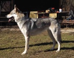 DSCF1284.jpg