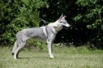 Název souboru=DSC_0264_NEF.jpg
Velikost souboru=230KB
Rozměry=926x613
Datum přidání=09. Červenec 2018 DSC_0264_NEF.jpg